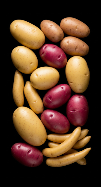 Choosing the Right Potato Variety