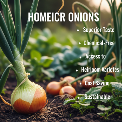 Why Grow Onions in Your Garden?