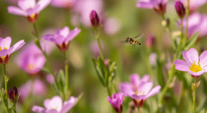 Supporting Pollinators with Biennials