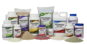 Phosphorus Fertilizers