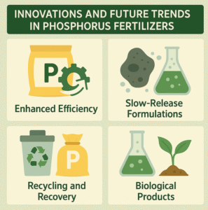 Innovations and Future Trends in Phosphorus Fertilizers