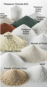 Types of Potassium Fertilizers