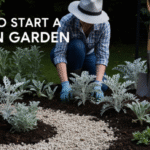 How to Start…