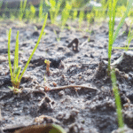 Climate Change Side&hellip;